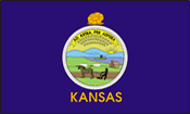 Kansas State Flag