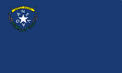 Nevada State Flag